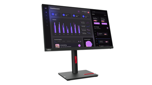 Lenovo ThinkVision T24i-30, 60.5 cm (23.8