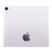 IPAD AIR M4 11 WF & CL 128GB PUR