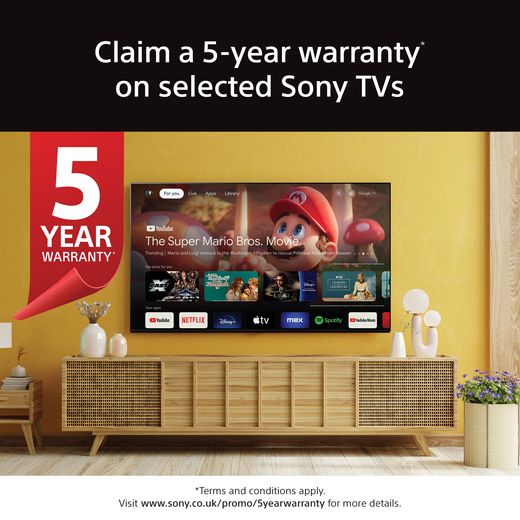 Sony 55