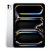 IPAD PRO 11 M5 WIFI 1TB SILVER