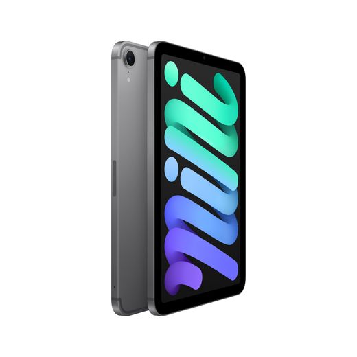 Apple iPad mini 8.3