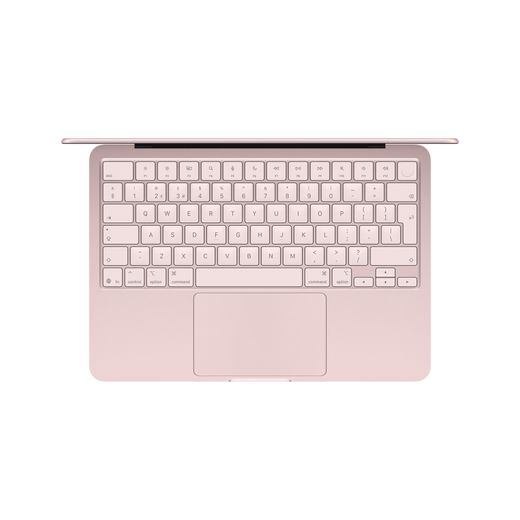 Apple 13