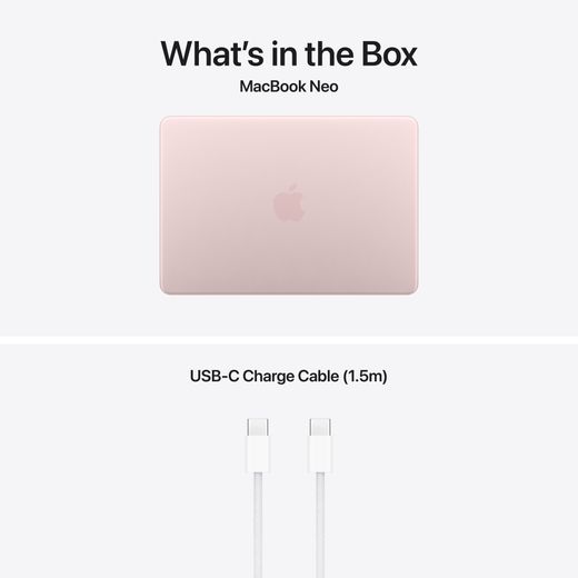 Apple 13