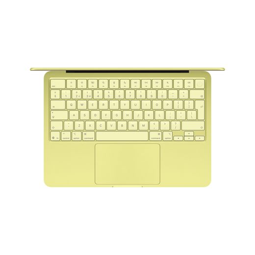 Apple 13