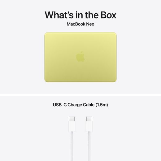 Apple 13