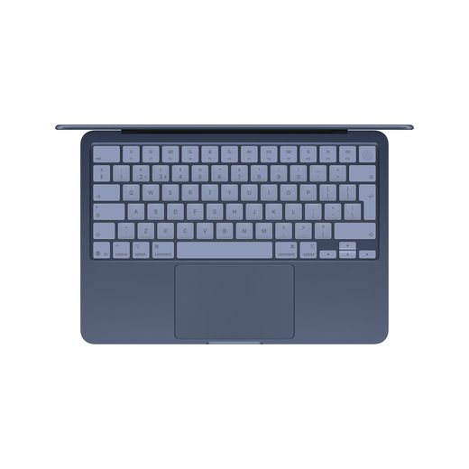Apple 13