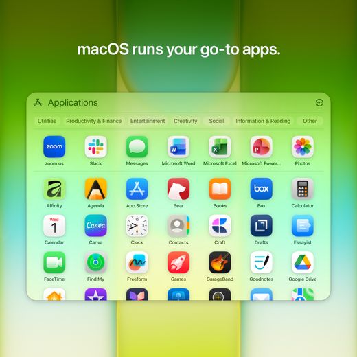 Apple 13