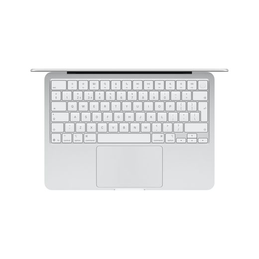 Apple 13