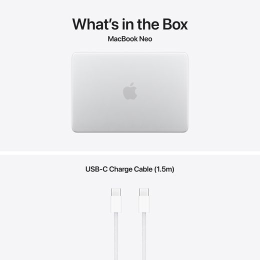Apple 13