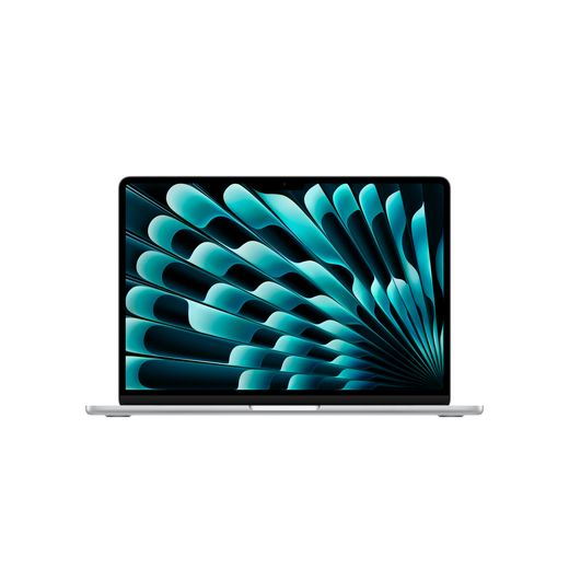 Apple 13
