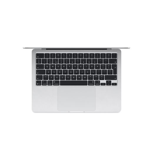 Apple 13