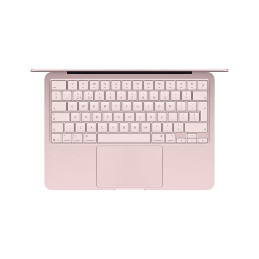 Apple 13