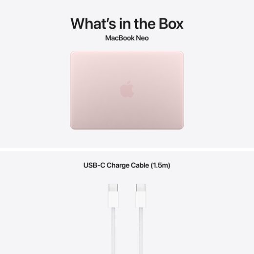 Apple 13