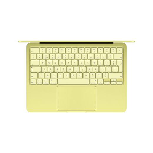 Apple 13