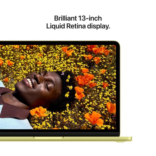 Apple 13