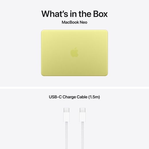 Apple 13