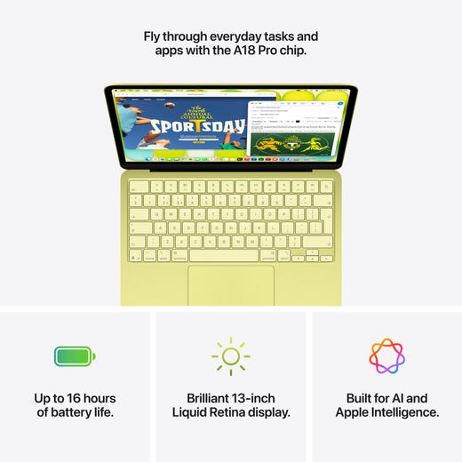Apple 13