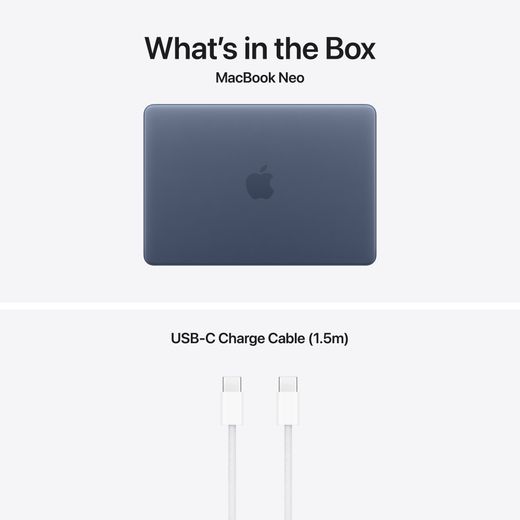 Apple 13