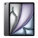 IPAD AIR M4 13 WF & CL 1TB SPG