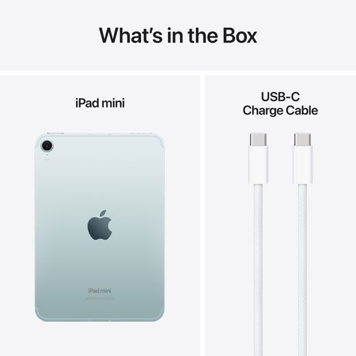 Apple iPad mini 8.3