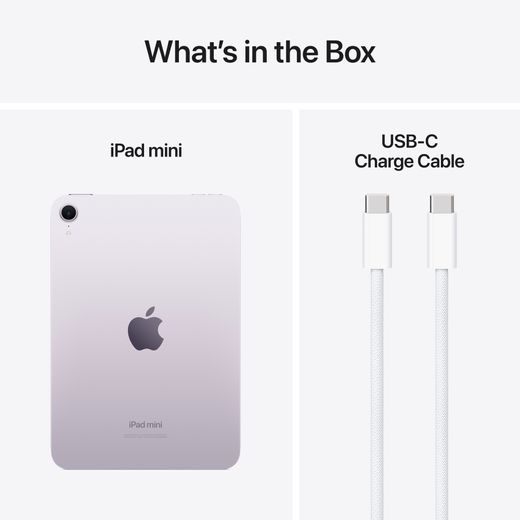 Apple iPad mini 8.3