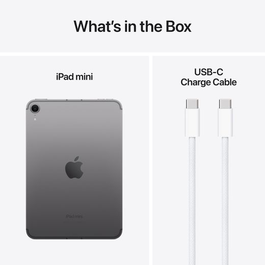 Apple iPad mini 8.3
